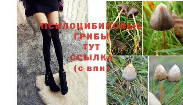 хмурый Остров