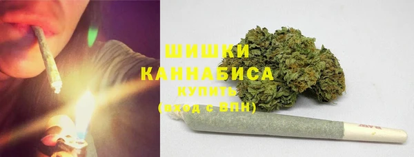мдпв Осташков