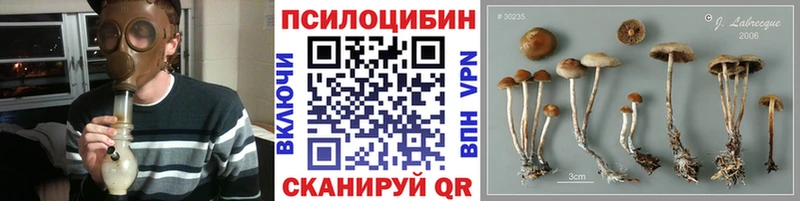 Псилоцибиновые грибы Magic Shrooms  Купить  Сосенский 